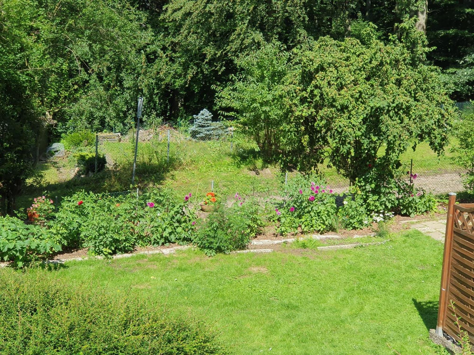 Ferienhaus In Geesthacht-Tesperhude Direkt Am Waldrand Extérieur photo