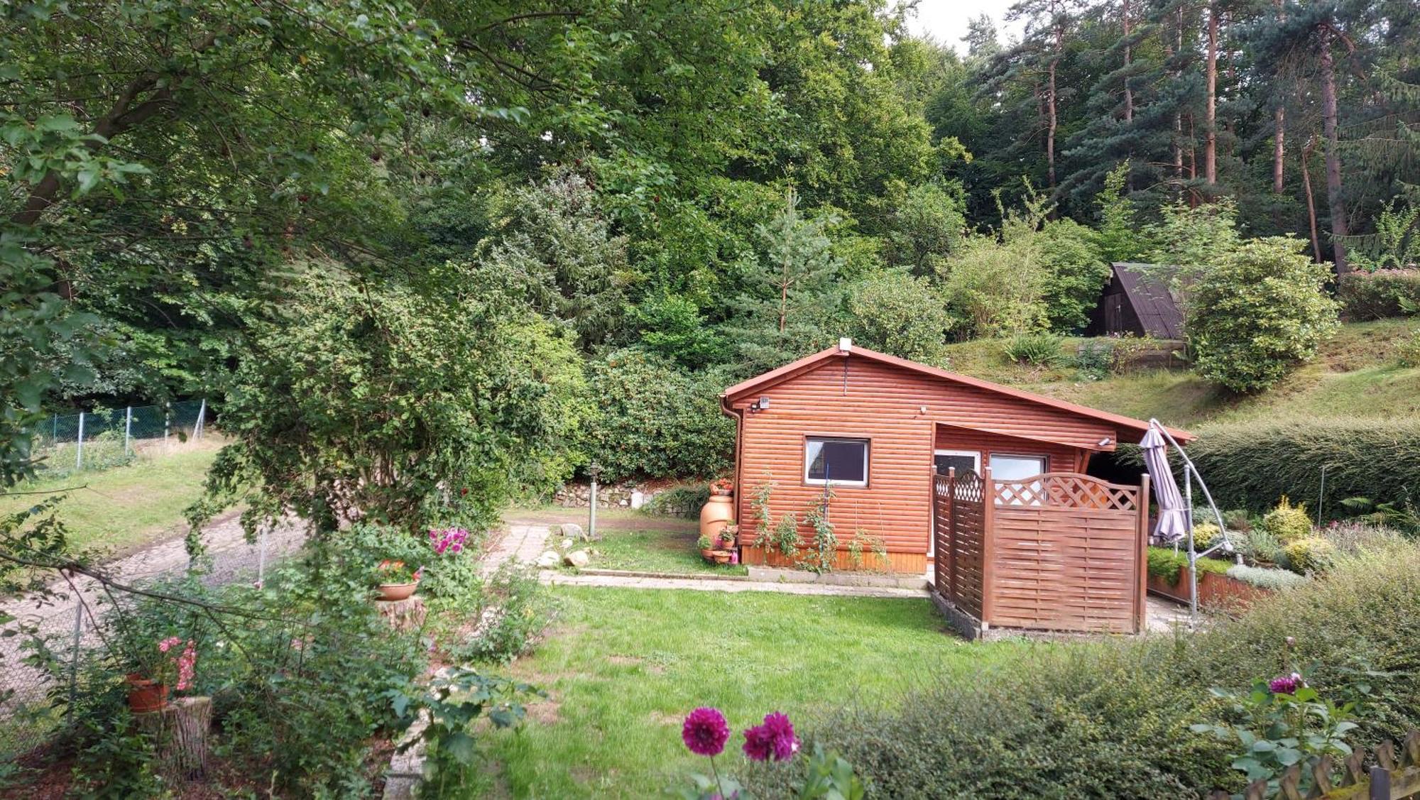 Ferienhaus In Geesthacht-Tesperhude Direkt Am Waldrand Extérieur photo