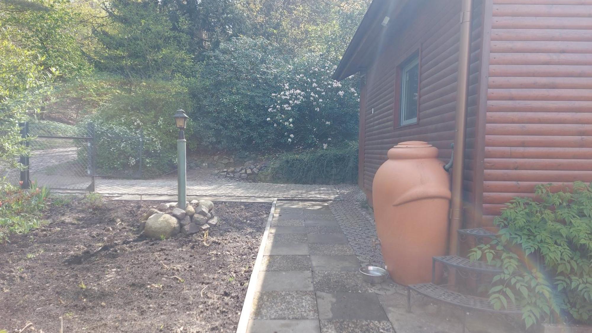 Ferienhaus In Geesthacht-Tesperhude Direkt Am Waldrand Extérieur photo