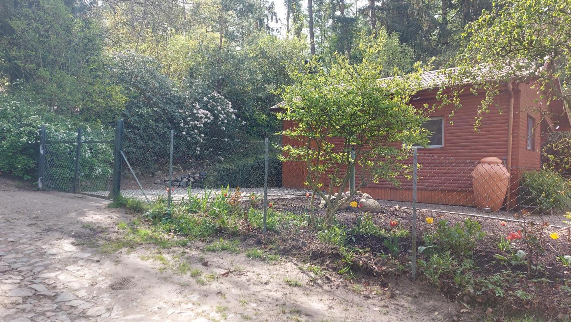 Ferienhaus In Geesthacht-Tesperhude Direkt Am Waldrand Extérieur photo